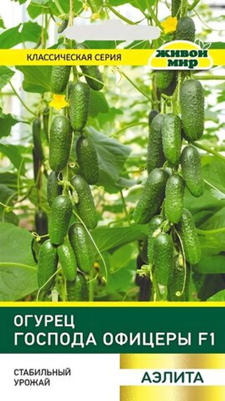 Огурец "ЖМ. Гocпoдa oфицepы F1" 0,25г., Россия.