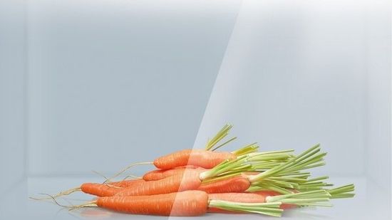 Холодильник Bosch KSV 36VL20R