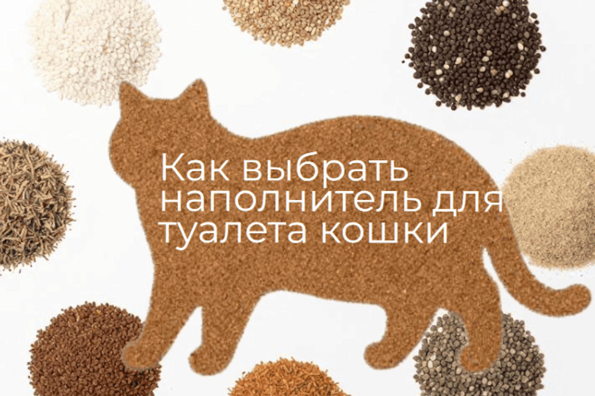 Как выбрать наполнитель для туалета кошки: обзор типов, преимущества и рекомендации