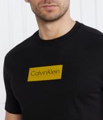 Футболка Calvin Klein - черный(K10K112403)