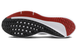 Кроссовки Nike Air Winflo 10