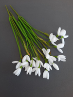 Подснежники / Арт 2017