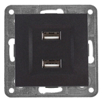 Розетка USB 2x1 Profitec Tesla графит