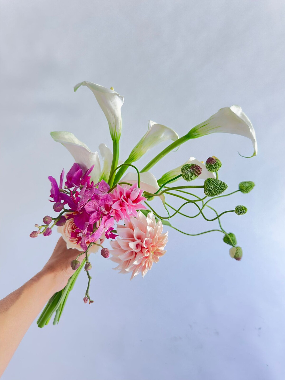 Вайнер лепестка Каллы