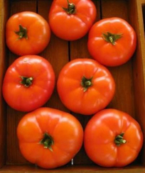 Мартэз F1 семена томата полудетерминантного (Seminis / Семинис)