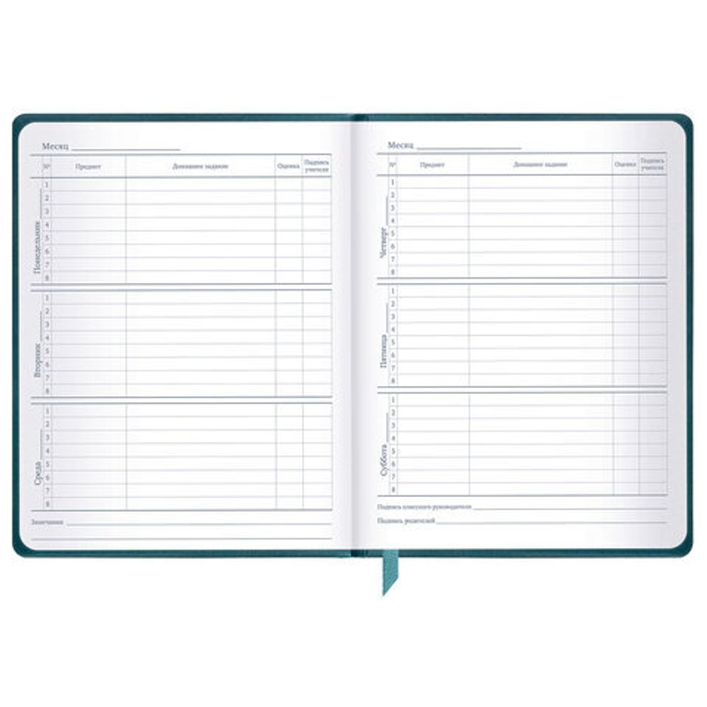 Дневник 1-11 класс 48 л., кожзам (твердая), печать, резинка, конверт, BRAUBERG, "Bright Lion", 106577