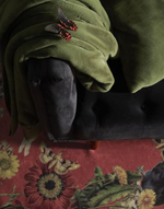 ESSENZA Плед Furry