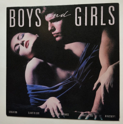 Винтажная виниловая пластинка LP Bryan Ferry Boys And Girls (Japan 1985) (No Obi)