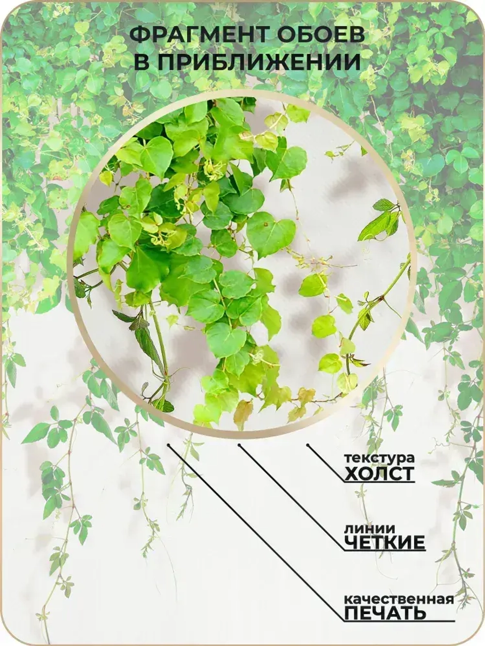 Фотообои Листья в зал, в спальню, в гостиную, на кухню 200х270