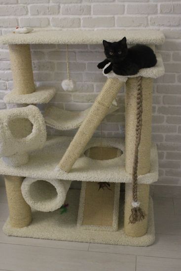 Когтеточка К-26