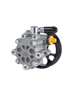 Насос ГУР для Chevrolet Captiva (06-)/Opel Antara (06-) 2.2D GANZ GIL02047