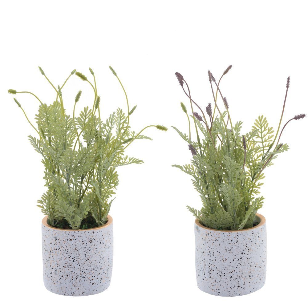 GAEM Цветочная композиция, L19 W19 H34 см, 2в.