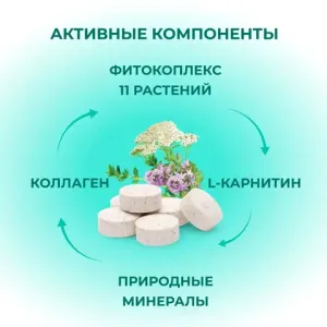 Витамины Фитомины Форте для шерсти собак, на основе растительных, минеральных и биоактивных веществ, 200 таблеток
