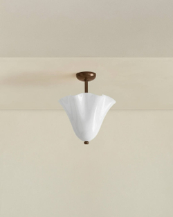 Изящный потолочный светильник