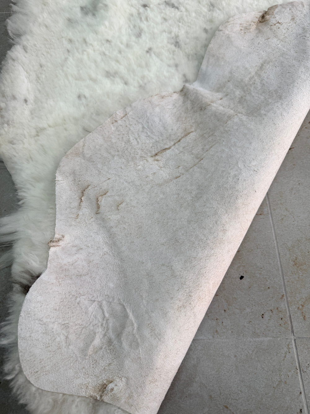 Ковер шкура натуральная овчина Меховой