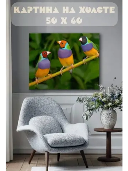 Картина на стену 40 X 50 Цветные птицы