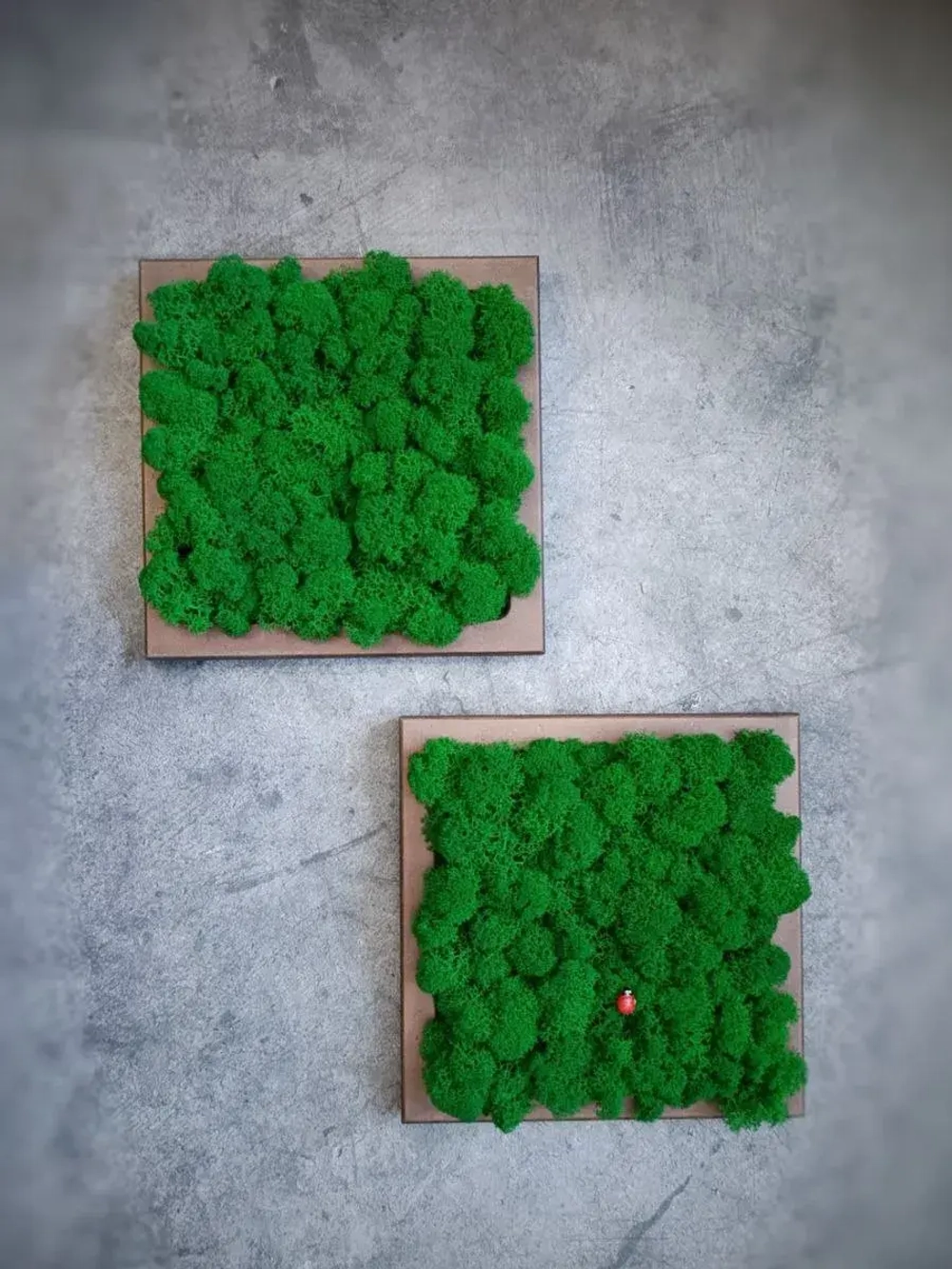 Квадратное панно на стену 20*20 из мха набор 1 шт.