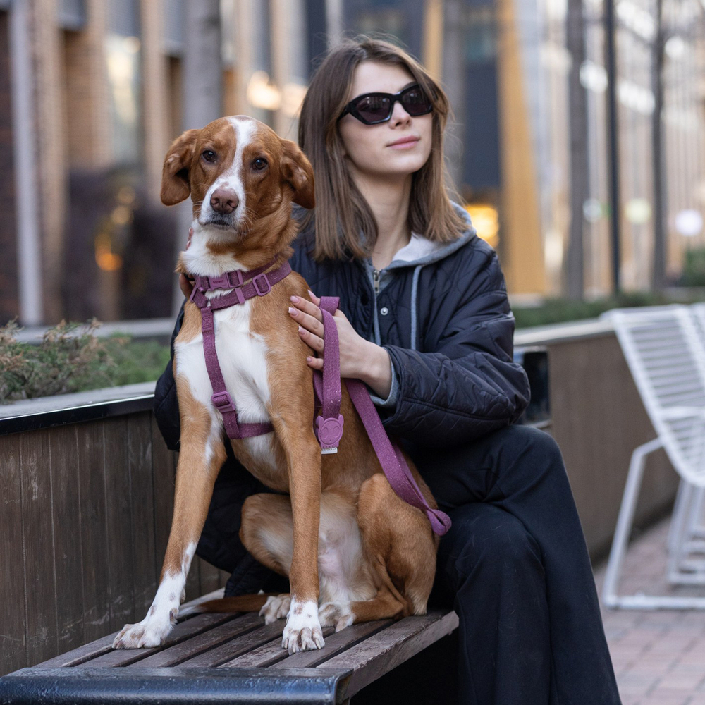 Шлейка HIBISCUS NATURALS Zee.Dog