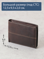 B240037R CASTANHO - Портмоне с RFID защитой MP