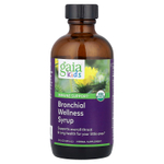 Gaia Herbs, детский сироп для здоровья бронхов, 89 мл (3 жидк. унции)