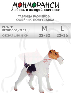 Ошейник полуудавка для мелких и средних собак, М