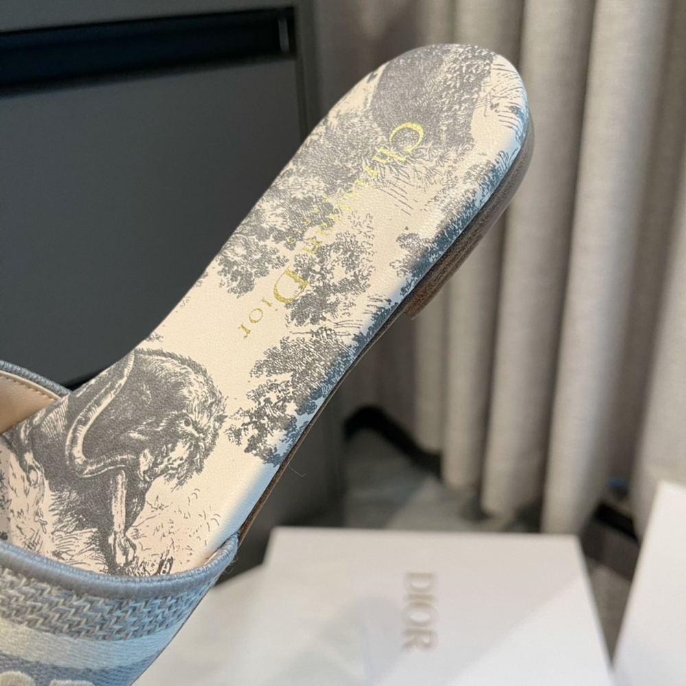 Christian Dior Dway Slide