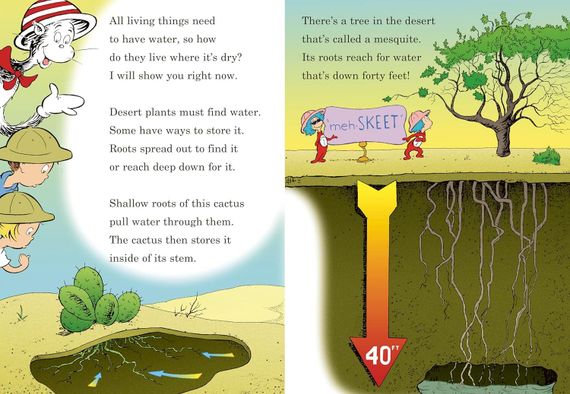 Why Oh Why Are Deserts Dry? All About Deserts