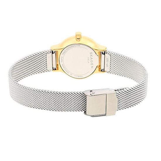 Женские часы Skagen SKW2666