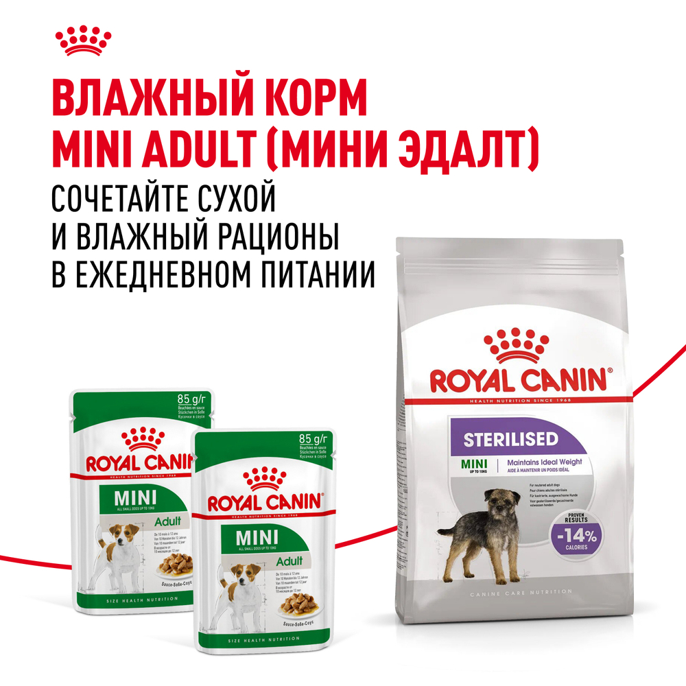 Royal Canin Mini Sterilised Корм сухой для взрослых стерилизованных собак мелких размеров, склонных к набору веса - 3 кг