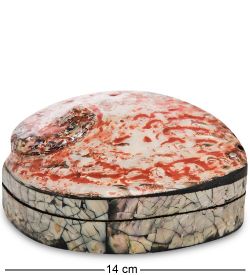 Decor and Gift 54-014 Декоративная шкатулка «Ракушка»