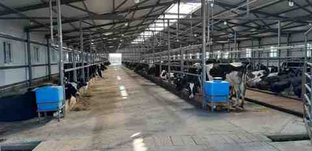 ПРИНУДИТЕЛЬНАЯ ВЕНТИЛЯЦИЯ КОРОВНИКА БЕЗ ПРИВОЗНОГО СОДЕРЖАНИЯ