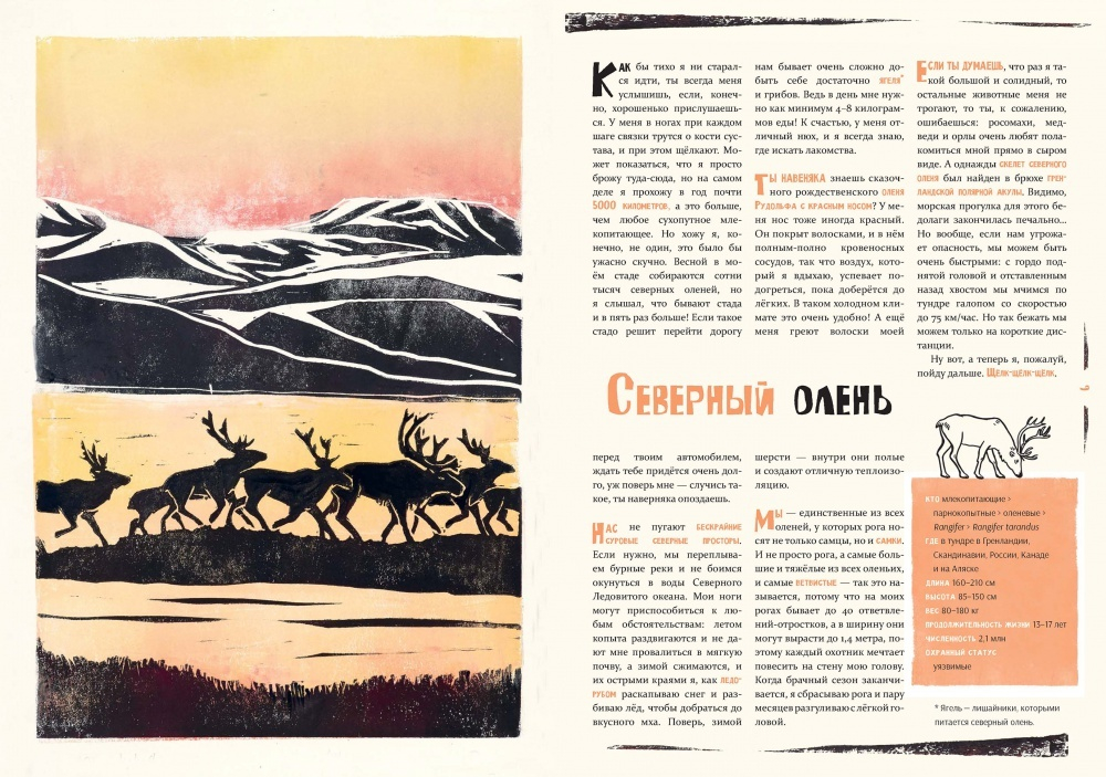 Север