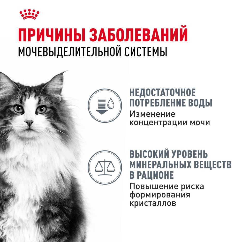 Пауч Royal Canin Urinary Care для взрослых кошек для поддержания здоровья мочевыделительной системы, мелкие кусочки в соусе Пауч Royal Canin Urinary Care для взрослых кошек для поддержания здоровья мочевыделительной системы, мелкие кусочки в соусе