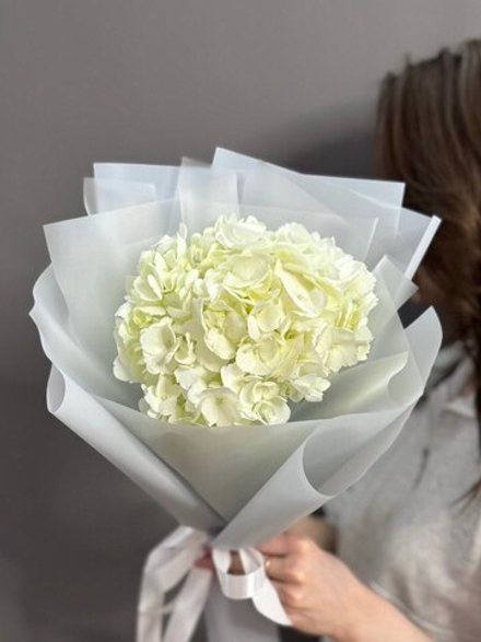 Белая гортензия в оформлении