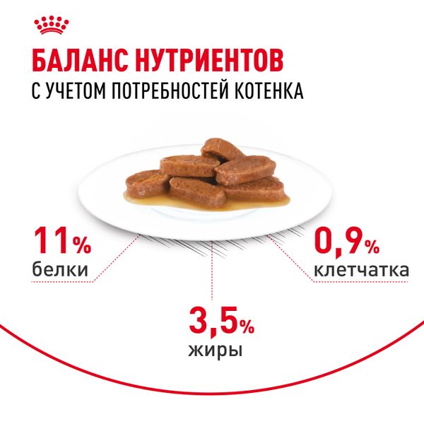 Пауч Royal Canin Maine Coon Kitten для котят породы Мэйн Кун в возрасте до 15 месяцев, мелкие кусочки в соусе