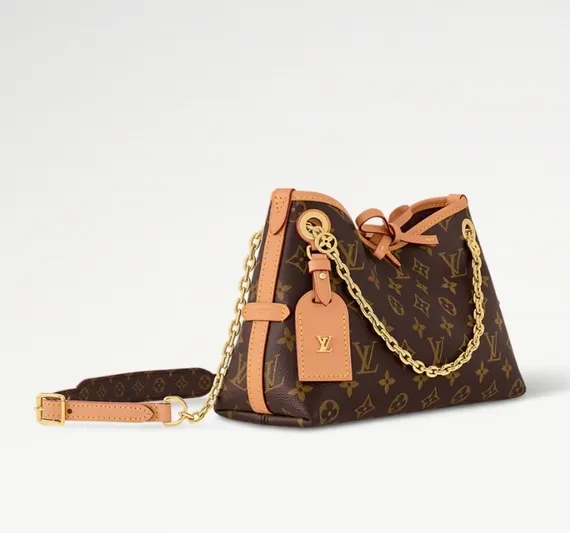 Сумка Louis Vuitton Carry All MM коричневый