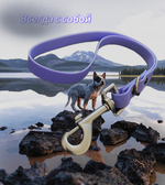 Водилка из биотана , 20 мм , 35 см. Карабин авиационный , черный.