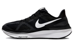 Кроссовки Nike Zoom Structure 25 (Женская размерная сетка)