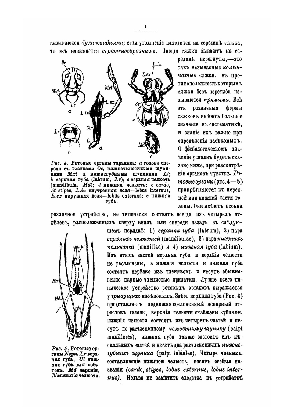 Краткий курс энтомологии, с обращением особенного внимания на насекомых, имеющих значение в лесном хозяйстве | Н.А. Холодковский