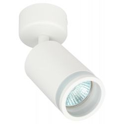 Светильник настенно-потолочный спот ЭРА OL23 WH MR16/GU10, белый