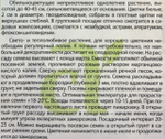 Флокс Друммонда Белое море 0,1 г СМЦ-272