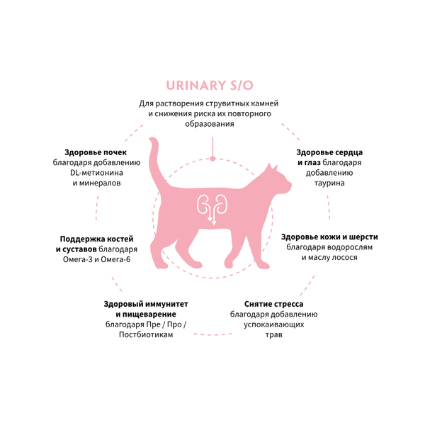 Сухой диетический корм GRANDORF VETERINARY DIET Cat URINARY S/O для кошек при мочекаменной болезни