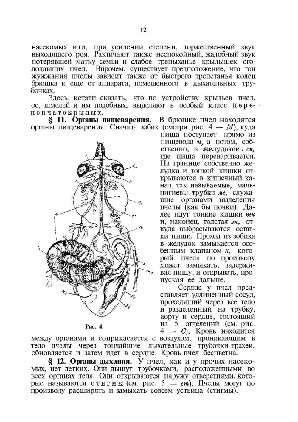 Самоучитель пчеловодства | А.С. Буткевич