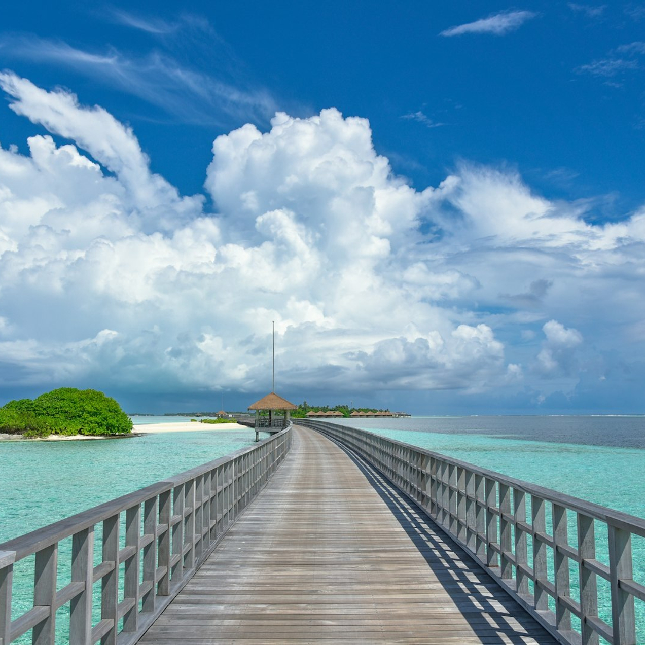 Отправляйтесь с нами!