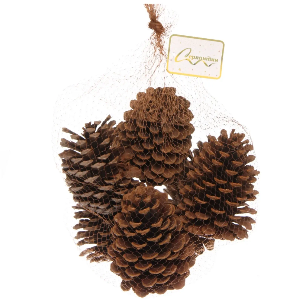 Композиция новогодняя «Шишки из леса» (набор 6 шт) 14 см