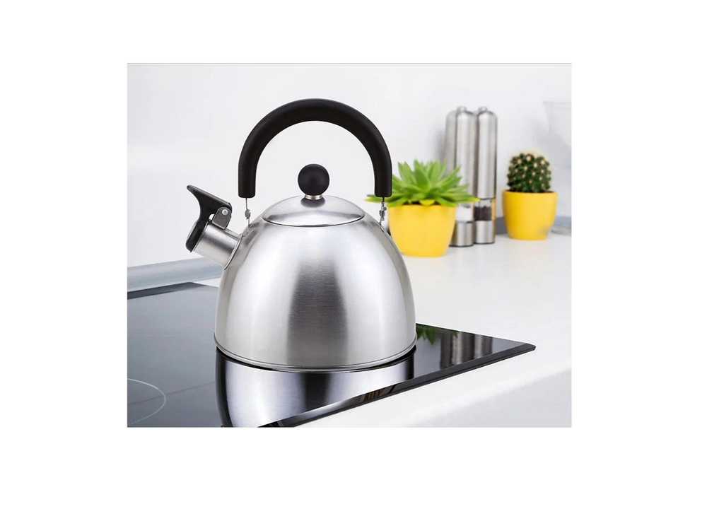 Чайник со свистком Mallony MAL-039-MP-2,3л