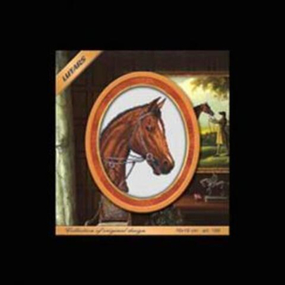 "Ахалтекинец"-188 вышивка