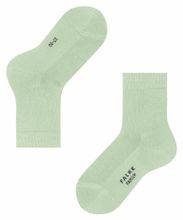Носки Family FALKE 12998/7313