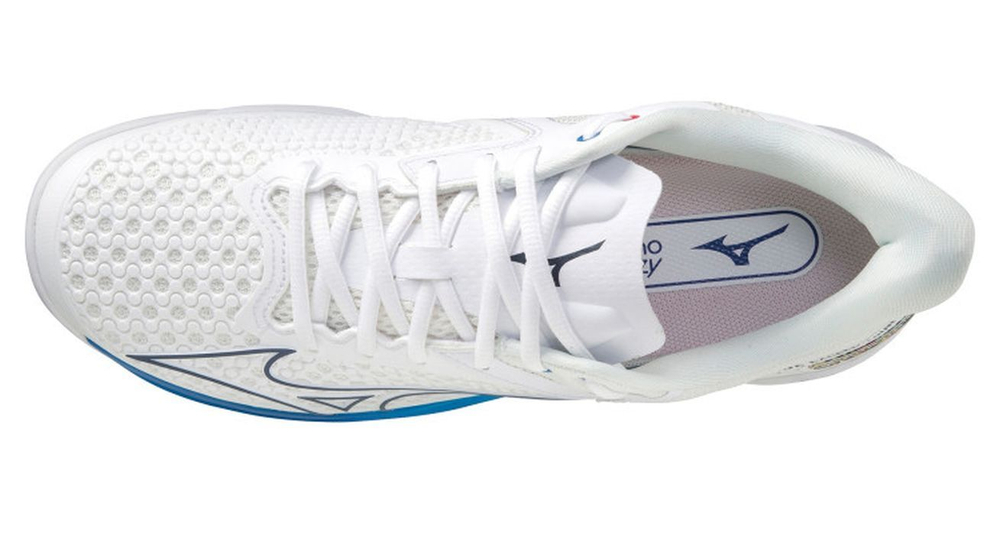 Мужские кроссовки теннисные Mizuno Wave Exceed Tour 5 AC - undyed white/spellbound/pace blue