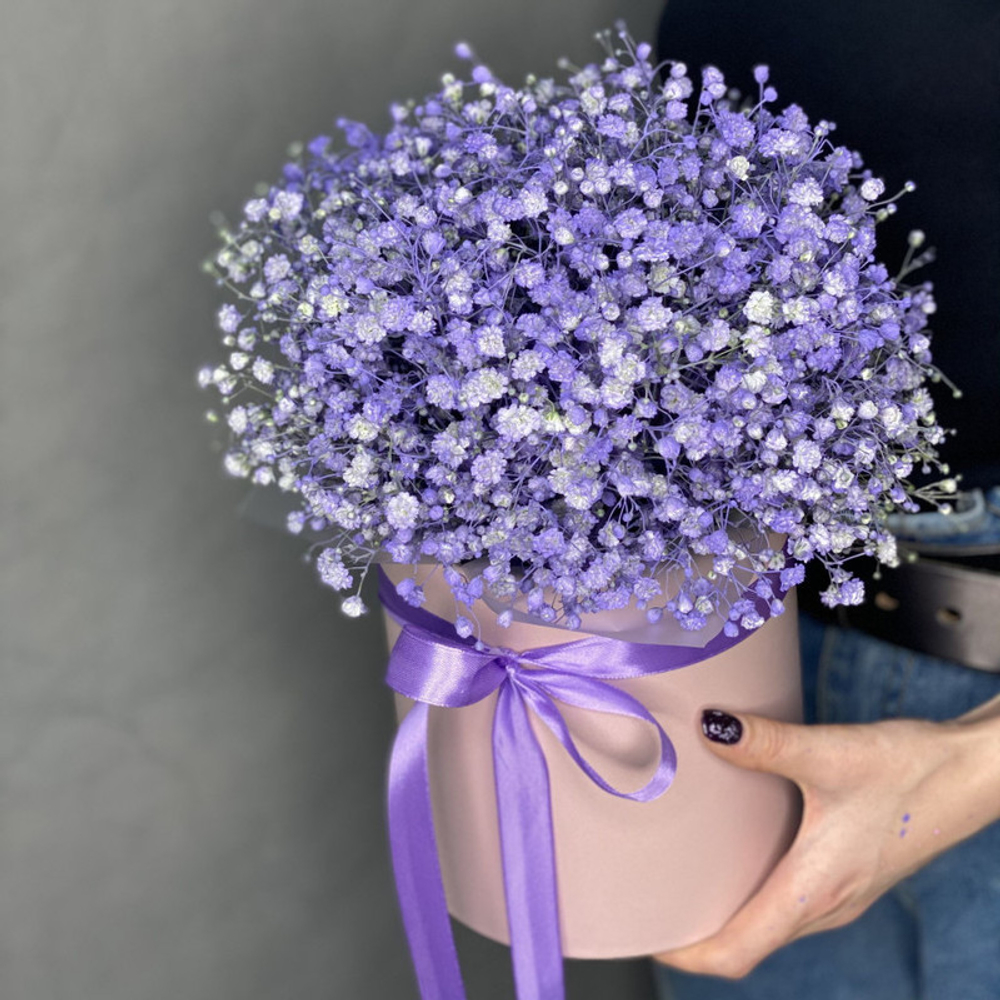 Гипсофила цветная